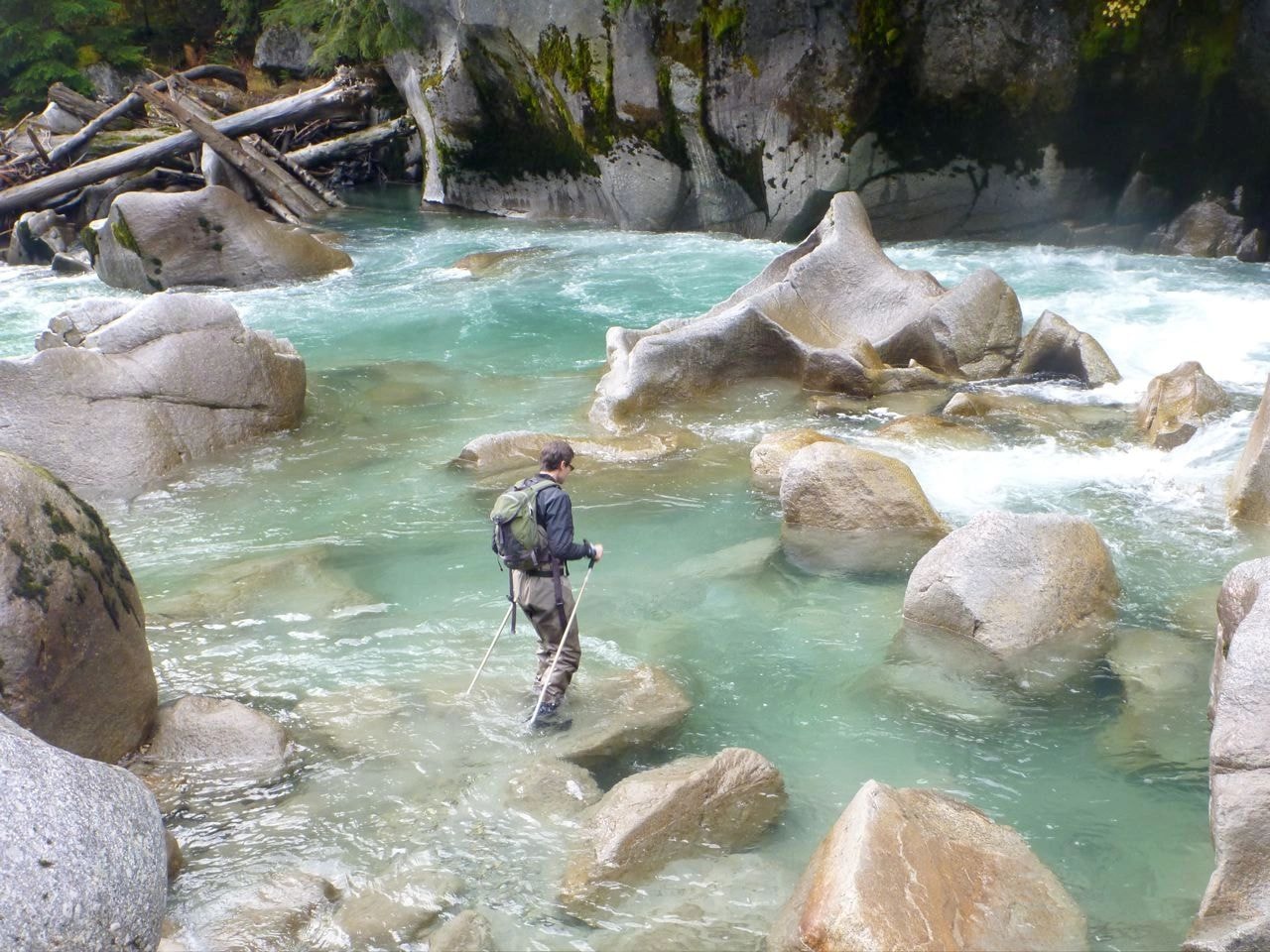 Fisheries biologist conducting fieldwork in a BC river